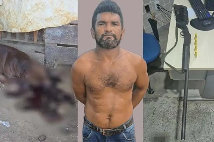 Após discussão, homem mata cachorro com tiro de espingarda e é preso por posse irregular de arma em Santarém