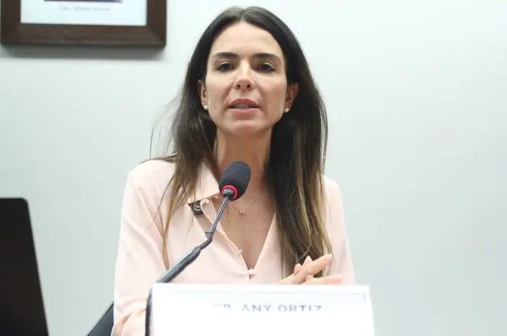 Comissão especial sobre novo teto para MEI é instalada na Câmara