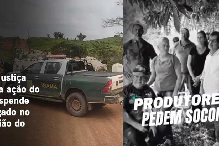 Decisão da Justiça Federal barra ação do ICMBio e suspende retirada de gado na região do Jamanxim no Pará