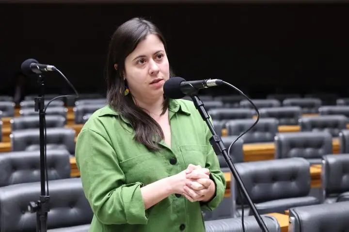 Projeto proíbe acesso a armas de fogo para quem responde por medida protetiva de urgência
