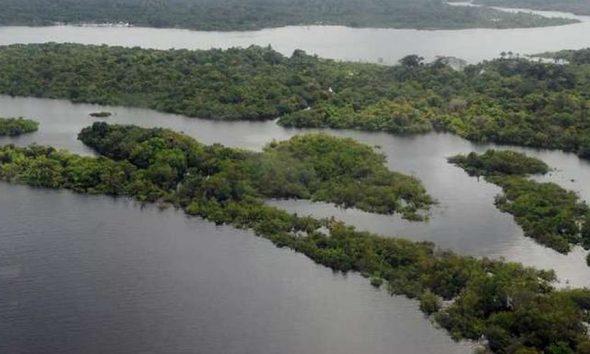 83% da população brasileira está insatisfeita com a preservação da Amazônia, diz Febraban