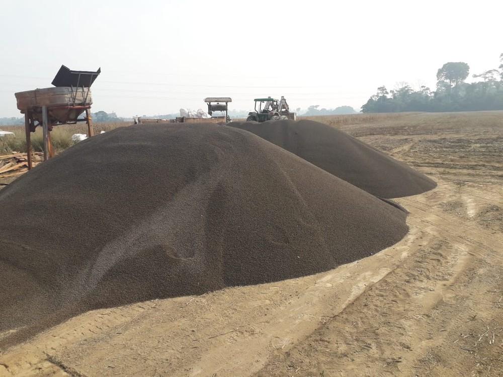 Polícia indicia três suspeitos após denúncia de furto de carga de fertilizante em Rurópolis