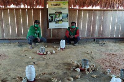 Indígenas de Jacareacanga recebem apoio da Emater para criação de frangos