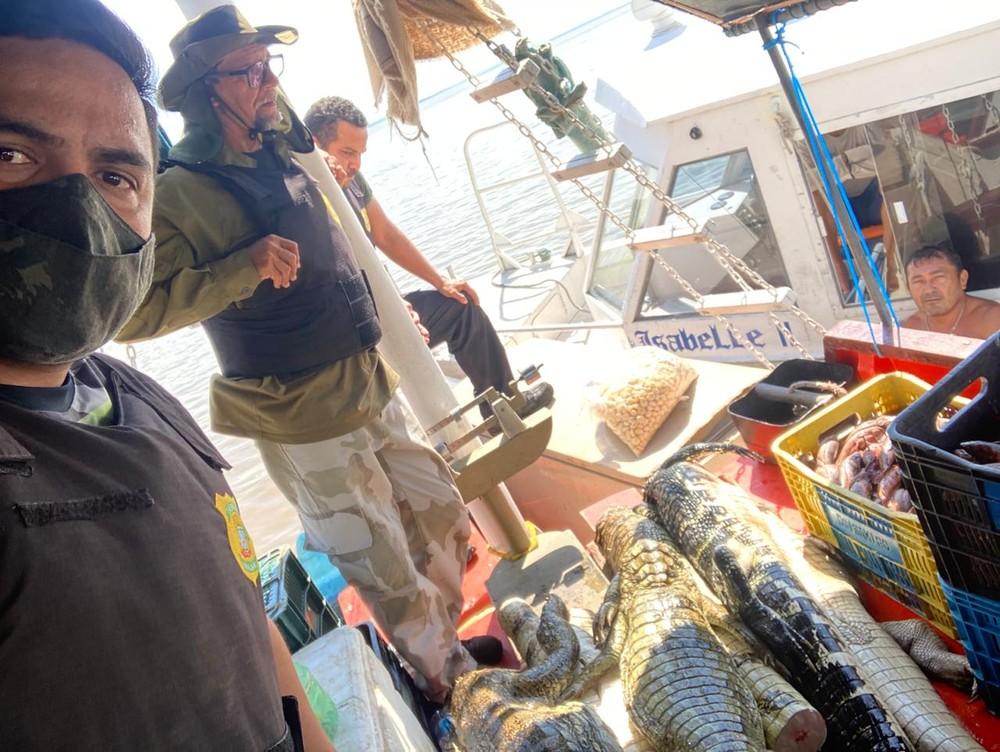 Mais de 200 kg de carne de jacaré são apreendidos em barco pesqueiro no Pará