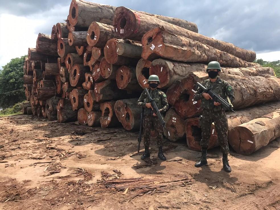 Militares apreendem balsas carregadas com madeira extraída no Pará