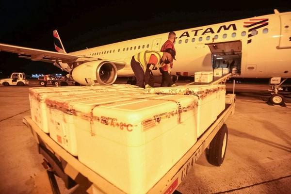 Novas doses de vacina coronavac num total de 64.400 unidades são distribuídas nós municípios do Pará