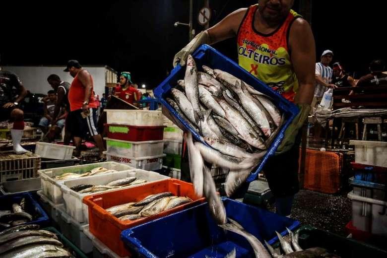 Primeiro caso suspeito da ‘doença da urina preta’ é notificado em Belém