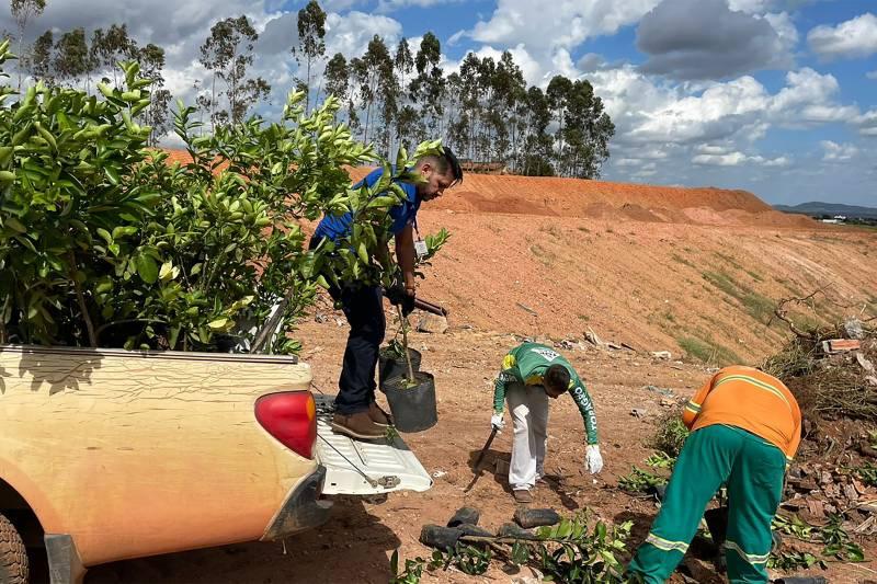 Adepará segue com ações para coibir o comércio clandestino de insumos