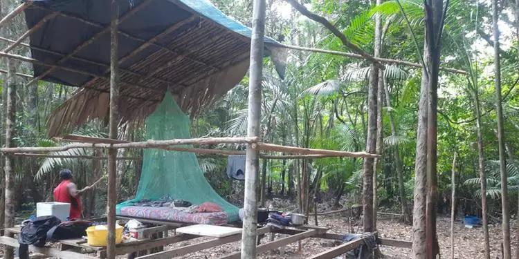 Homem é encontrado decapitado em área de mata na Vila dos Cabanos, em Barcarena
