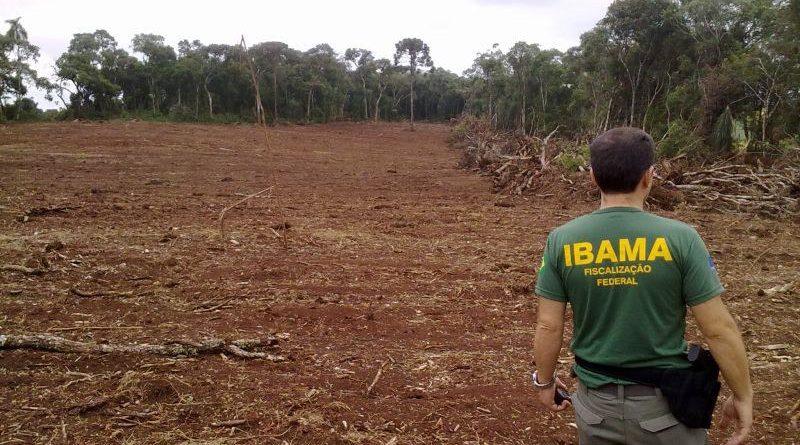 Servidores do Ibama informam que suspenderão atividades de fiscalização ambiental