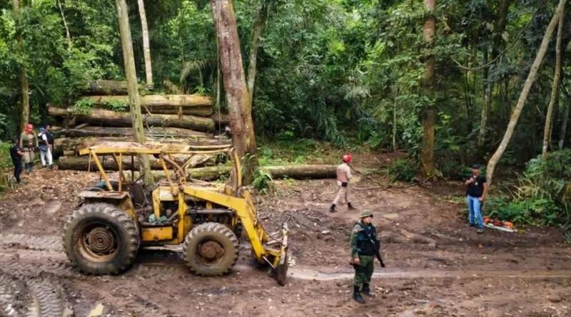 Operação ‘Curupira’ passa de 1000 fiscalizações integradas e continua combatendo o desmatamento no Pará