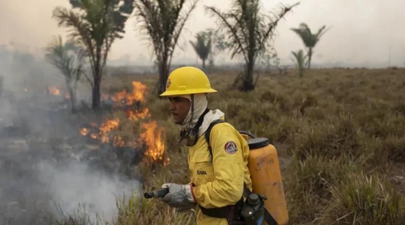Dia do Meio Ambiente: Servidores do Ibama e ICMbio fazem paralisação e entregam cargos