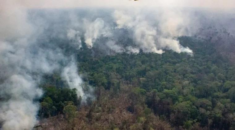 Fazendas com queimadas ilegais na Amazônia receberam R$2,6 bilhões em crédito rural