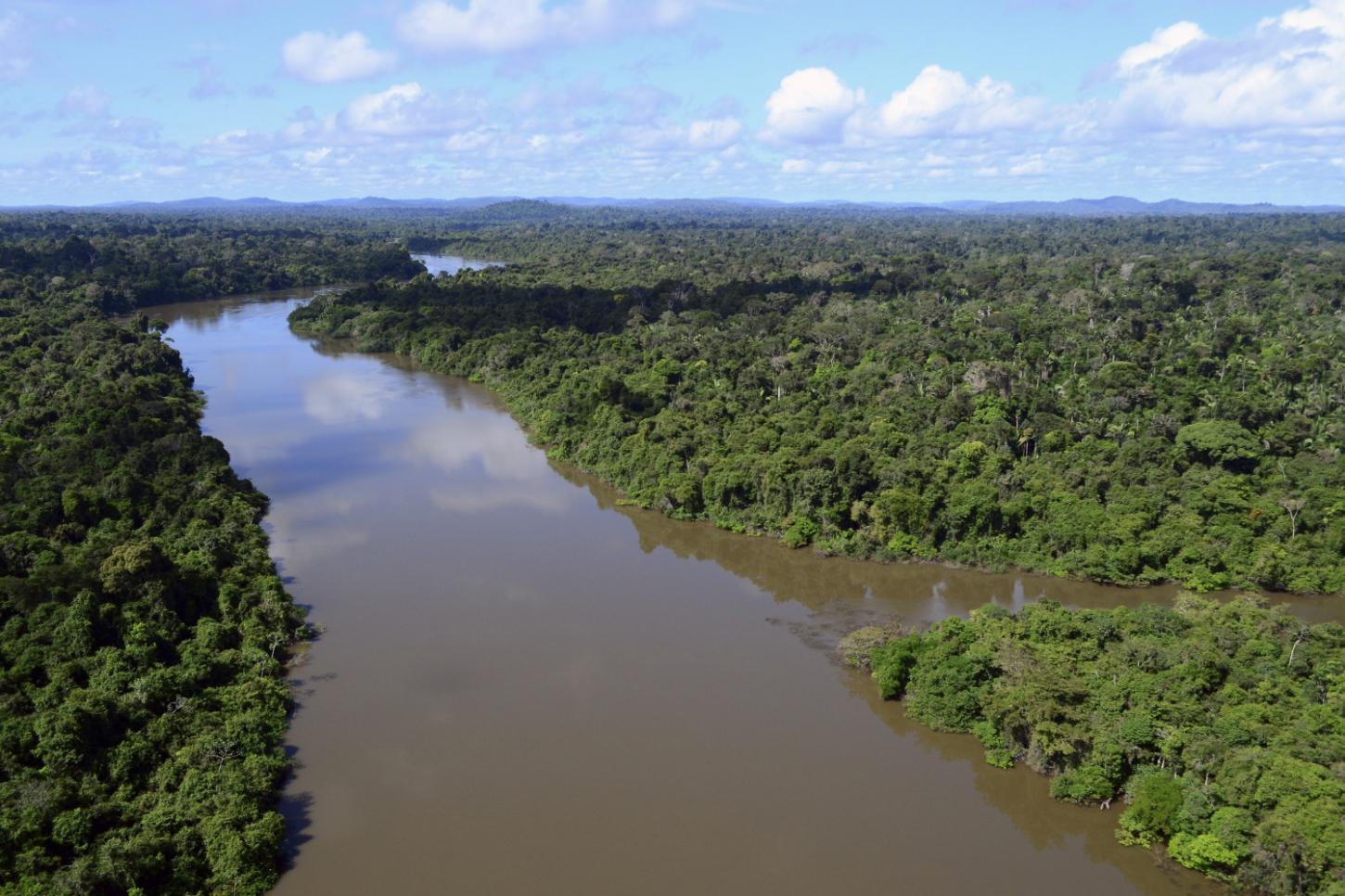 Justiça, TRF1 nega redução dos limites da Floresta Nacional do Jamanxim no Pará