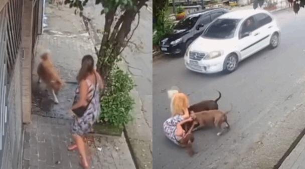 Grávida de sete meses cai ao tentar proteger cachorro de cães de grande porte em SP