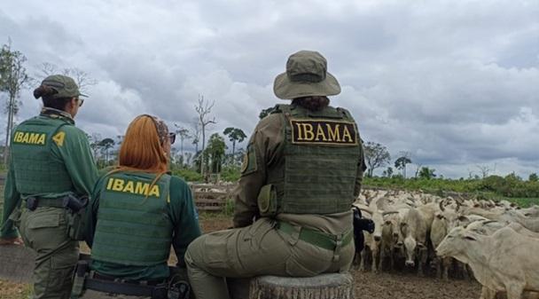 Comissão no senado Federal (CRA), questiona e Ibama vai reavaliar embargos no Pará