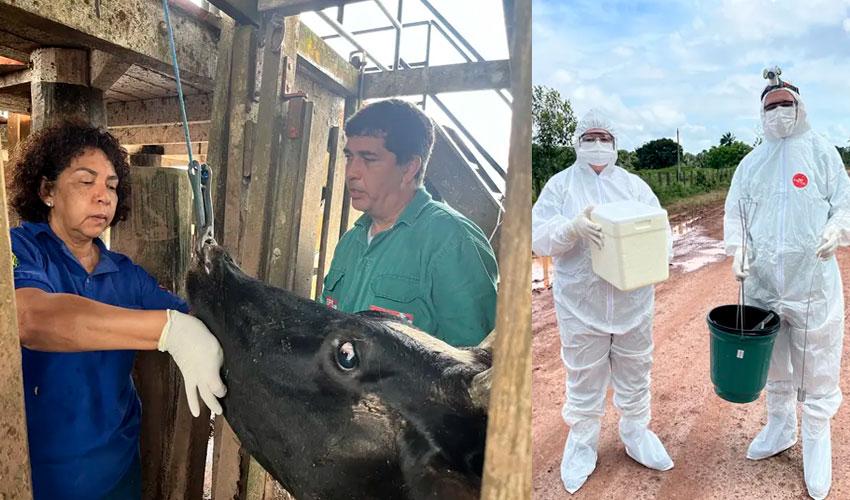 PSS da Adepará abre inscrições nesta segunda-feira (18) até quarta-feira (20)