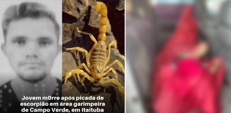 Jovem Morre Após Picada de Escorpião no distrito de Campo Verde Km30, em Itaituba no Pará
