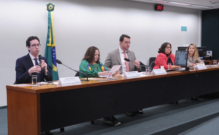 Participantes de audiência apontam falta de apoio a ONGs de animais e superlotação de abrigos