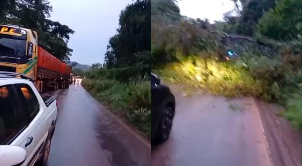 Queda de árvore interdita trecho da BR-163 e provoca congestionamento na Serra do Piquiatuba em Santarém PA