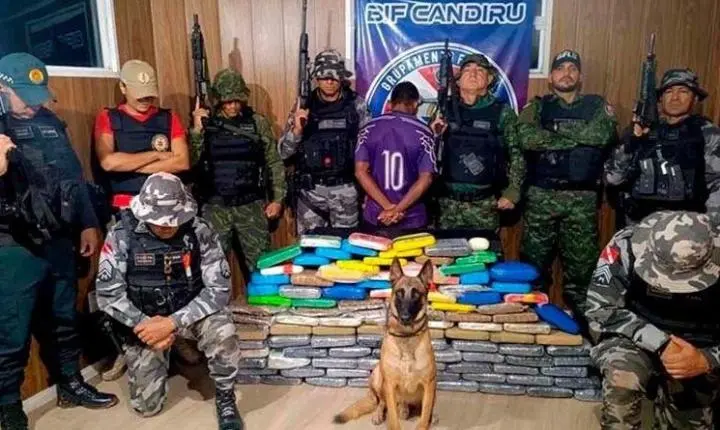 Cão farejador ajuda a interceptar 112 kg de drogas em embarcação com destino a Santarém